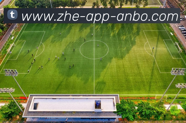 体育App 体育App